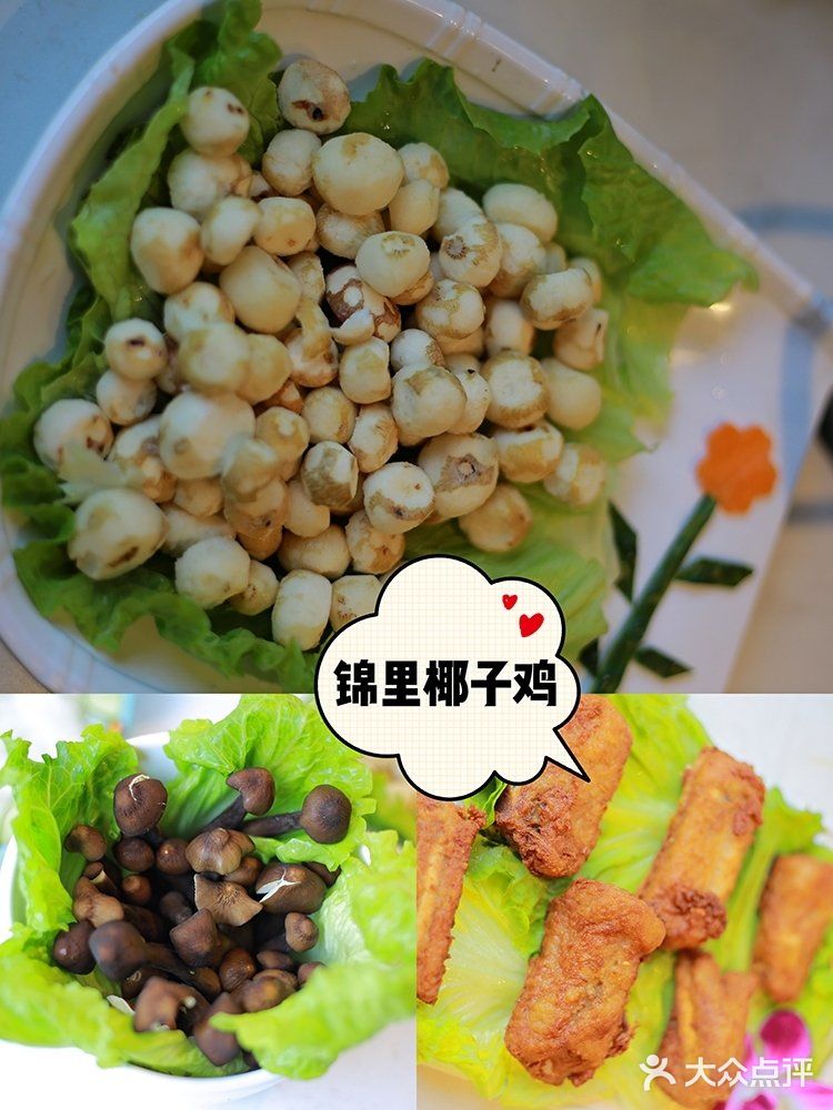 三亚亲子游‖干货分享