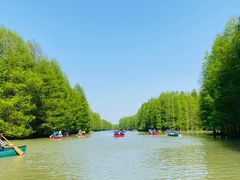 -上海海湾国家森林公园