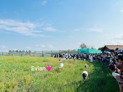 -盐城丹顶鹤湿地生态旅游区