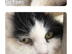 -北京赛佳动物医院