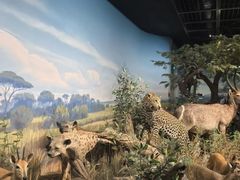 -陕西自然博物馆