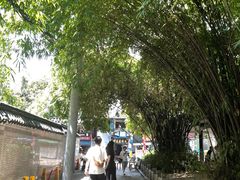 -杨婆婆烤肉(文昌阁店)