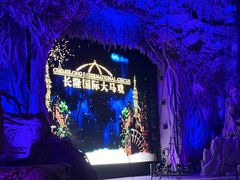 -广州长隆国际大马戏