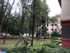 -四川大学(望江校区)