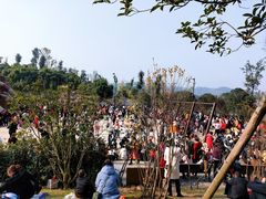 -枫香湖儿童公园