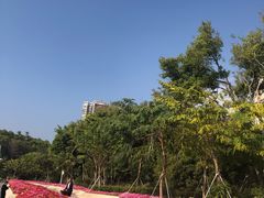 -深圳国际园林花卉博览园