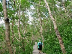 -白草畔自然风景区