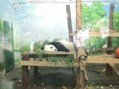 -无锡动物园·太湖欢乐园