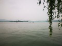 -杭州西湖柳莺里酒店·闻莺厅