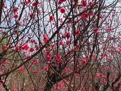 -白水带风景区体育公园