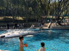 -东明山森林公园