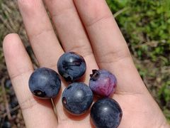 -千龙湖生态旅游度假区