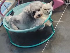 -萌兽医馆·眼科·异宠专科(三里屯店)