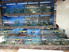 水产区-龙溪海鲜酒家(溪涌店)