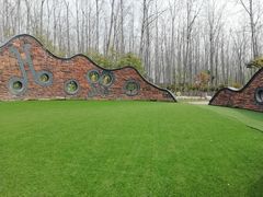 -合肥滨湖国家森林公园