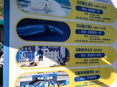 -秦皇岛乐岛海洋王国