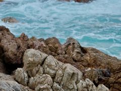 -西涌国际滨海旅游区