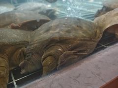 -老海陵·泰州菜(图书馆店)