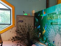 -巴克创奇梦工厂
