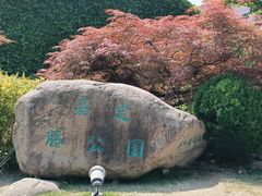 -嘉定紫藤园