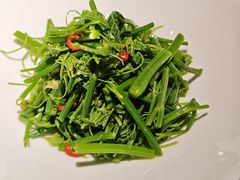 清炒丝瓜苗-一坐一忘云南菜(三里屯店)