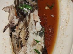 -宝轩渔府·老字号海鲜·正宗津菜(水上店)