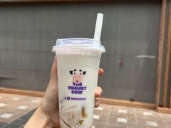 -一只酸奶牛(八一路店)