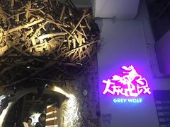 -大灰狼(中心书城店)