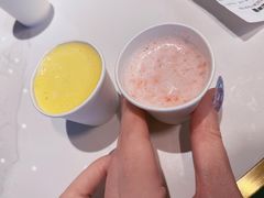 -野萃山·潮汕厚果汁(十亩地店)