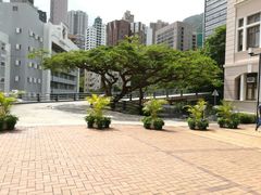 -香港大学