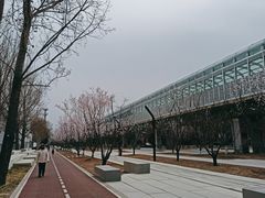 -五道口(地铁站)