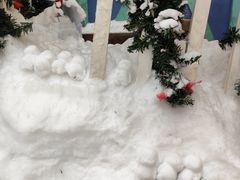 -广州热雪奇迹