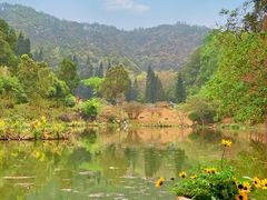 -深圳仙湖植物园