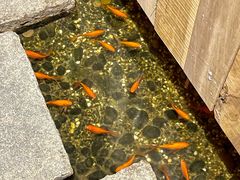 -邈墨茶馆(凤起路店)