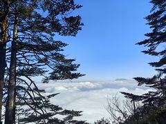-瓦屋山景区