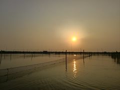 -金鸡湖桃花岛