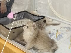 -阳光世纪奥特莱斯店