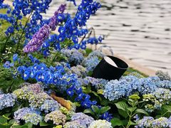 -荔湾湖公园