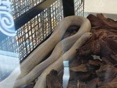 -万达广场(南京江宁店)