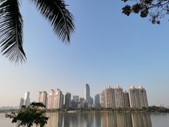-钟姨糖水(惠城店)
