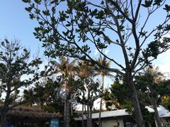 -白沙湾海滩