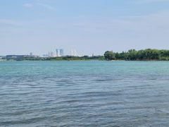 -北龙湖湿地公园