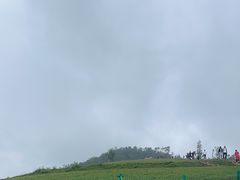 -关山草原