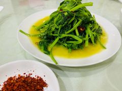 -胡世羊肉汤(南街店)
