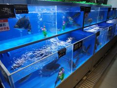 -嘉荣超市(望牛墩店)