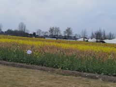 -中国天府农业博览园