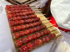 -和禄德冰糖葫芦