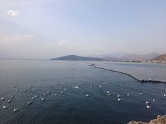 -小普陀
