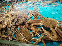 -徐记海鲜(汉城湖|太奥店)