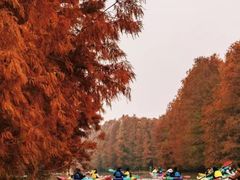 -上海海湾国家森林公园